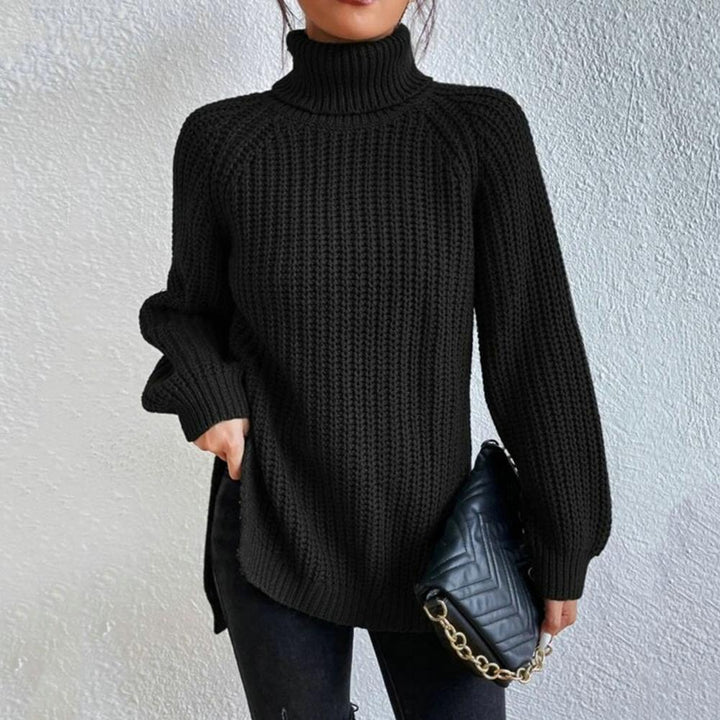 Zara | Elegant turtleneck sweater