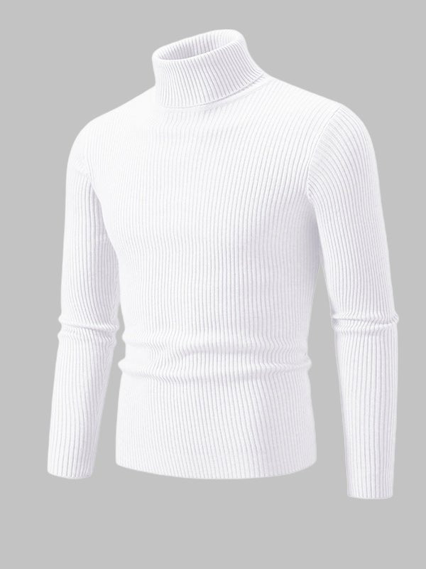 Camden | Men's Solid Color Striped Textured Turtleneck Sweater